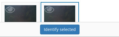 Identify selected button.